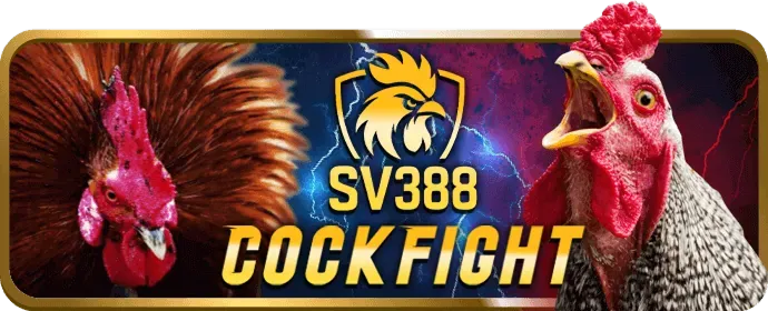 Tỷ lệ cược cạnh tranh tại st666 game